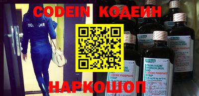 стафф Кингисепп
